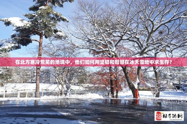 在北方寒冷荒芜的绝境中，他们如何用坚韧和智慧在冰天雪地中求生存？